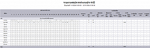 รายงานสรุปการทำงานประจำเดือน/ปี